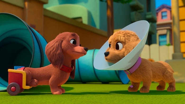 Still image for Pretzel and the Puppies season 1 episode 4: Bowl Them Over / Cone-Do Still image for Pretzel and the Puppies season 1 episode 4: Bowl Them Over / Cone-Do