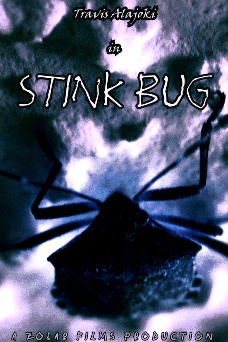 Stink Bug