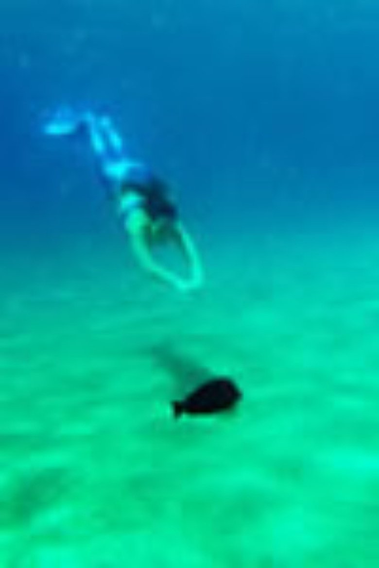 DER SCHWIMMER UND DIE MEERJUNGFRAU (2011)