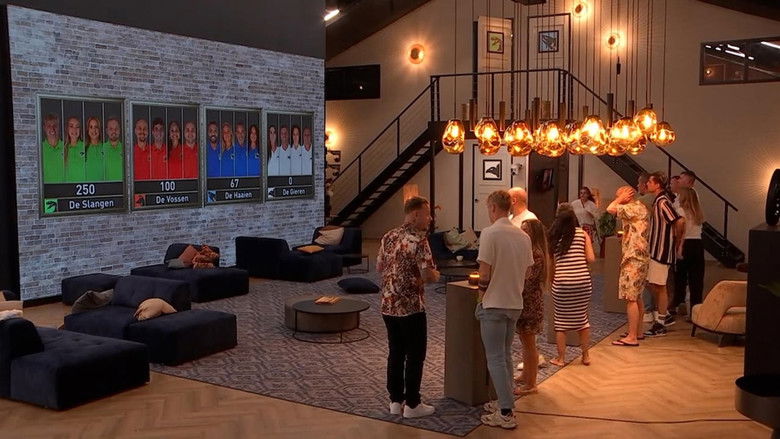 Still image for De Bondgenoten season 1 episode 236: Episode 236