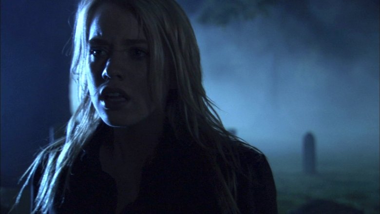 Devil's Diary (2007)