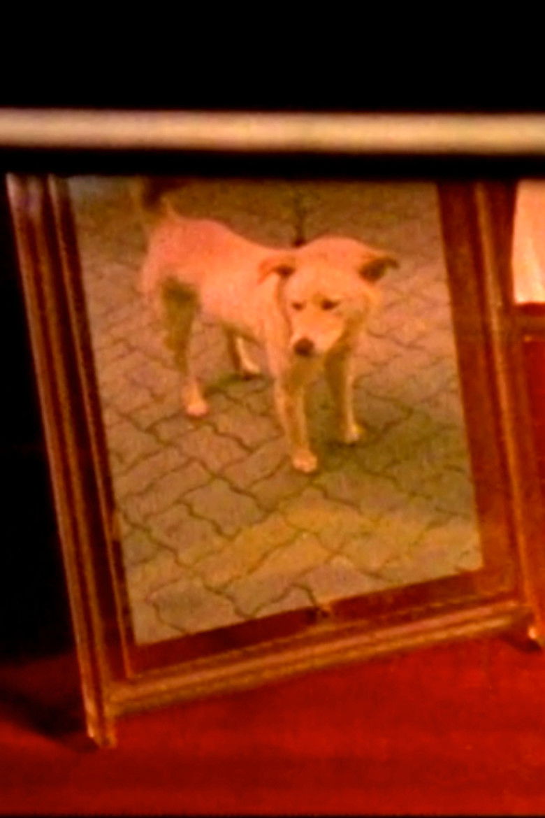 Imatge de 프레임 속의 기억들