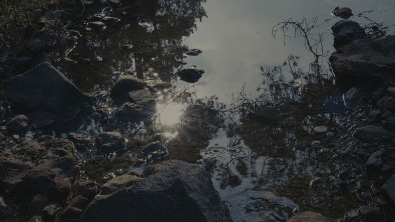 Image d'arrière-plan 12 du film Para atrapar el viento