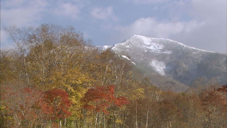 Still image for Wild Hokkaido! season 1 episode 19: Niseko Mountain Range in Autumn Still image for Wild Hokkaido! season 1 episode 19: Niseko Mountain Range in Autumn