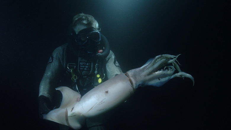 Still image for Descending season 1 episode 8: The Hunt for the Red Devil Still image for Descending season 1 episode 8: The Hunt for the Red Devil