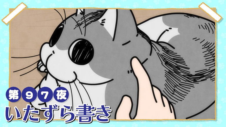 Still image for Nights with a Cat season 1 episode 97: Night 97: Doodle