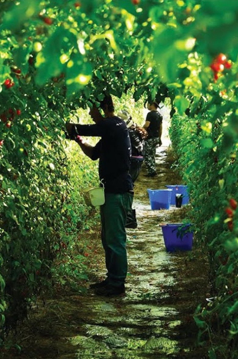 Imatge de 神人之家