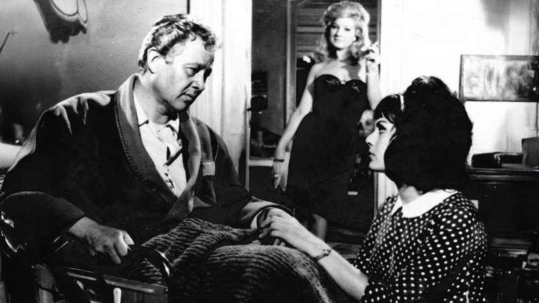 Gallery image from hU4s5gFOpLdh2Nmtxb22nOCeD1R.jpg