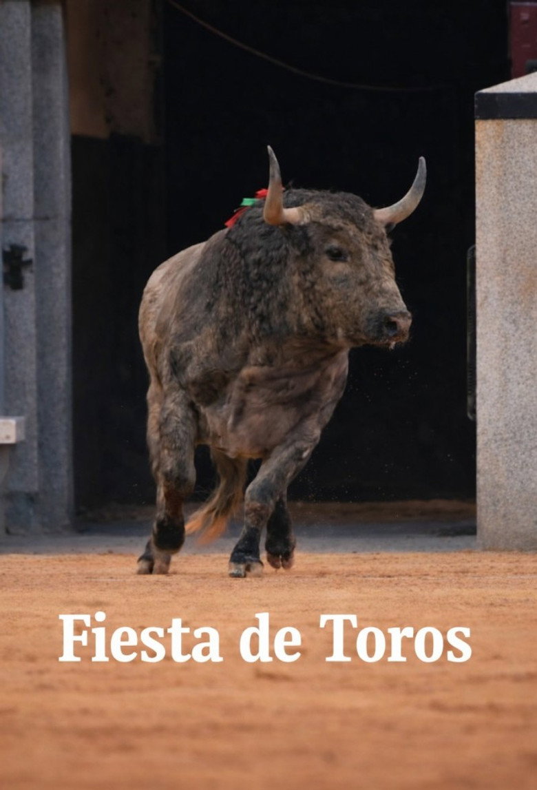 Poster Fiesta de toros