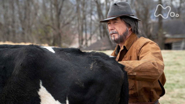 Still image for Natsuzora season 1 episode 79: Episode 79 Still image for Natsuzora season 1 episode 79: Episode 79