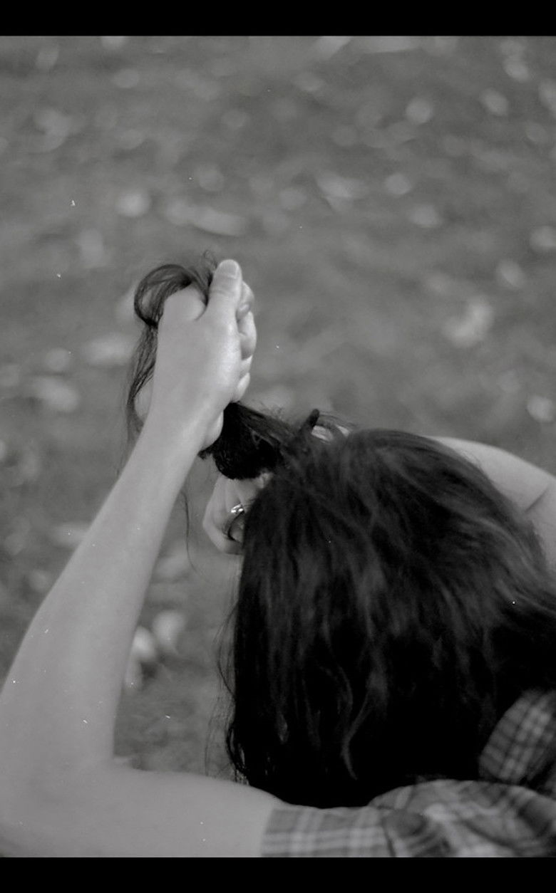 Imatge de Circulación en la corteza