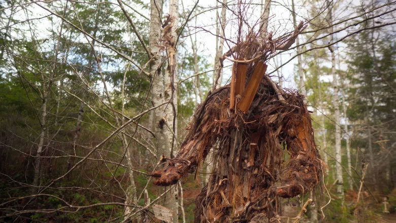 The Stickman’s Hollow