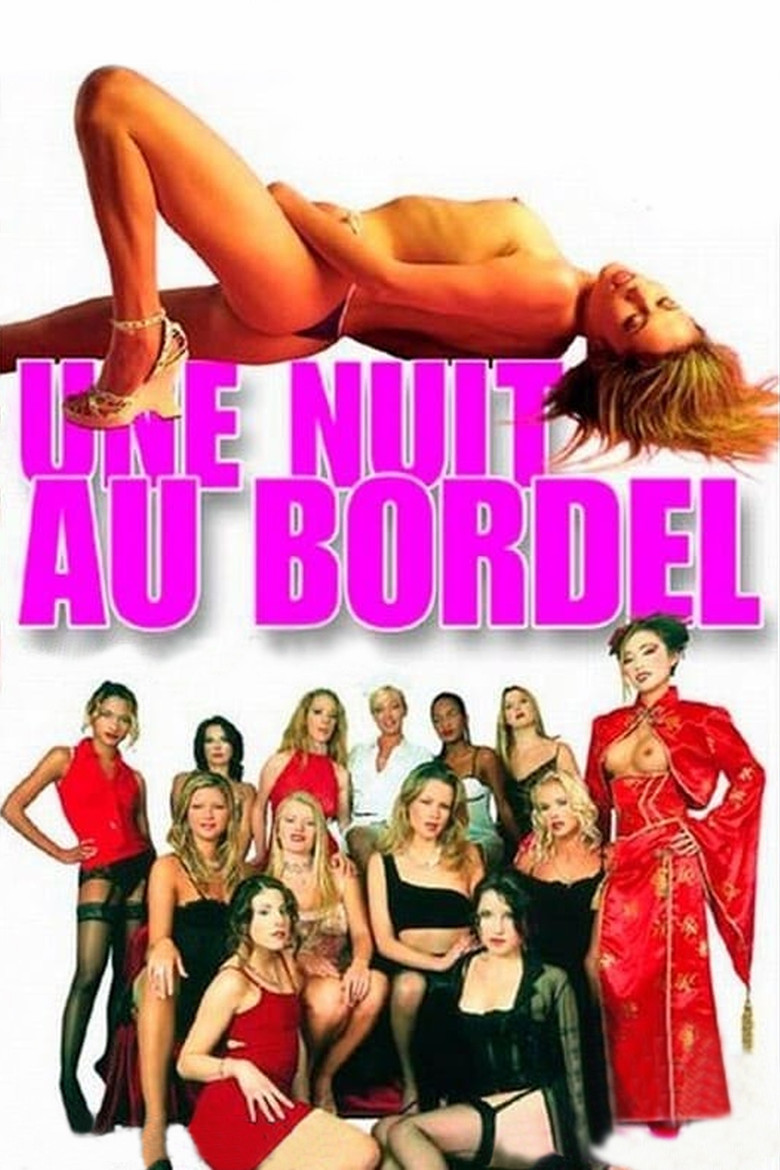 Affiche de UNE NUIT AU BORDEL