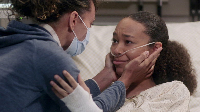 assistir greys anatomy 17x6