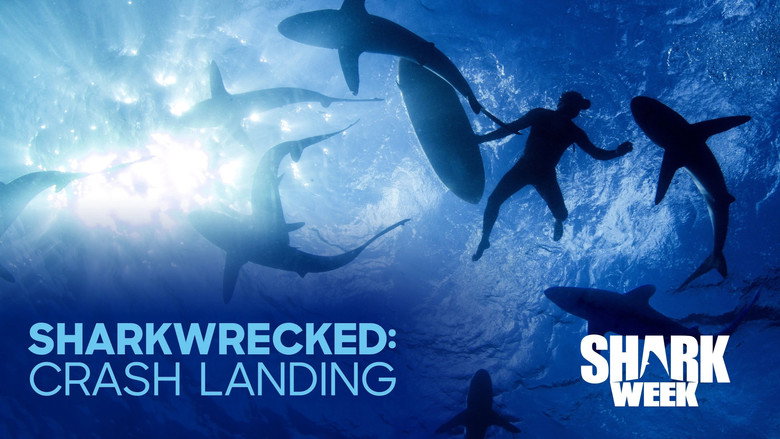 Sharkwrecked: Crash Landing image 1