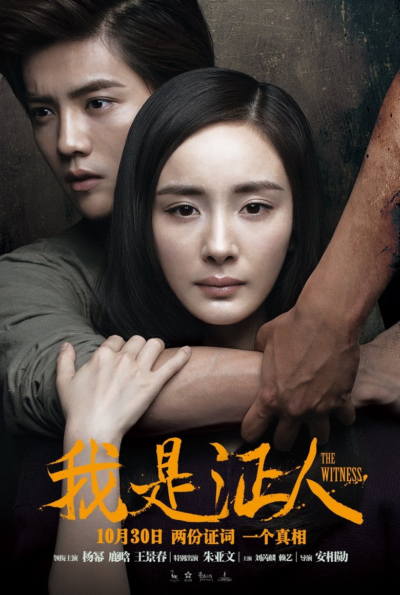 我是证人 (2015)