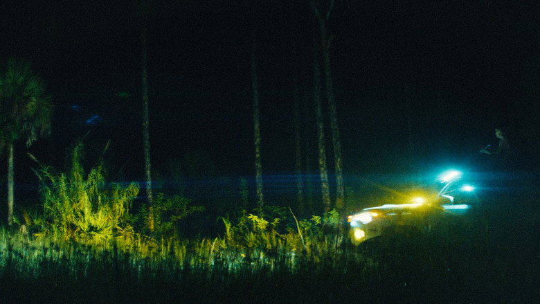 The Python Hunt 6