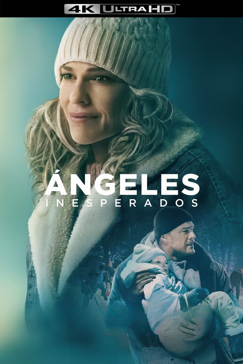 Póster la Película