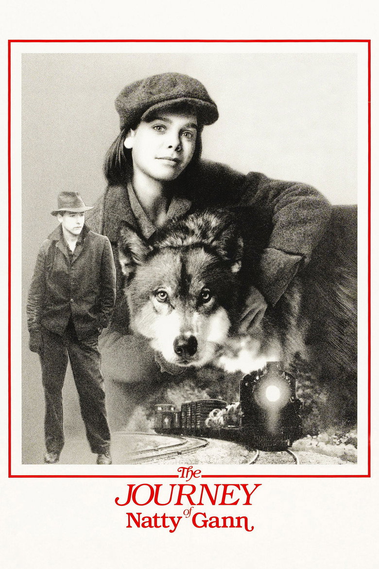 Póster la Película