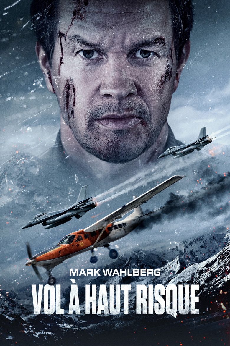 Póster la Película
