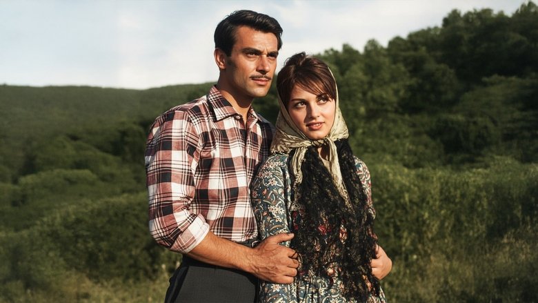 Gallery image from haBZYujfuv880FoWMZER0Uw4EAs.jpg