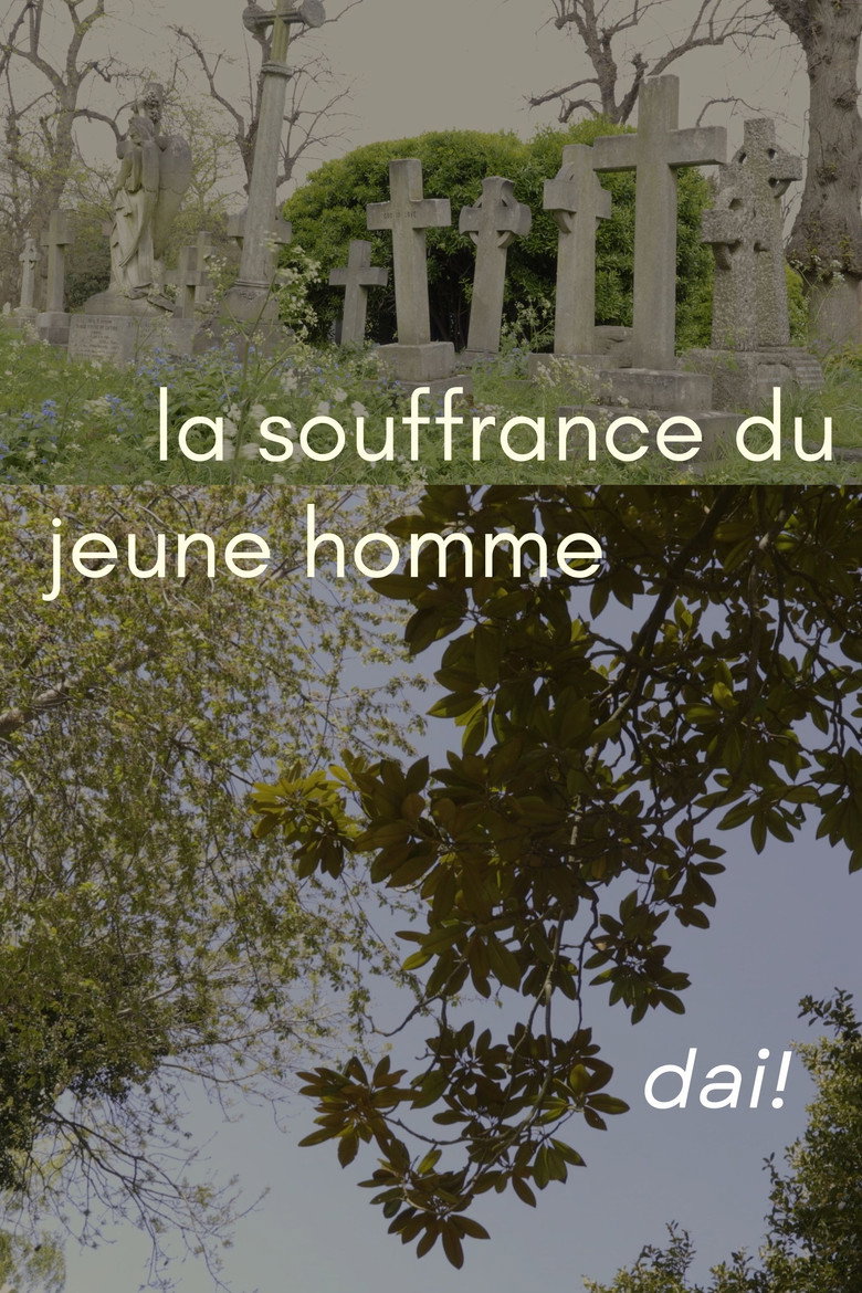Imatge de la souffrance du jeune homme