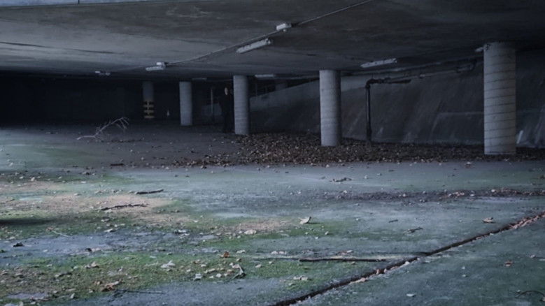 Gallery image from haHXry4lwCcr13AzpltsBJMrCjR.jpg