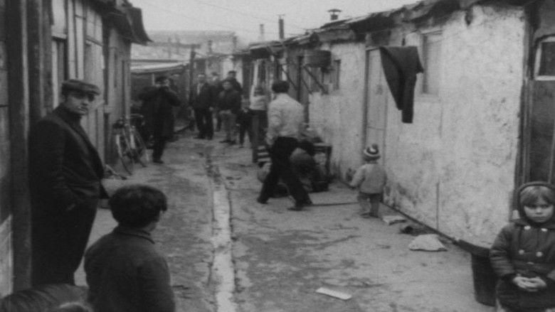 Gallery image from haliewFk5L6FV9vqepANUeFx4qw.jpg