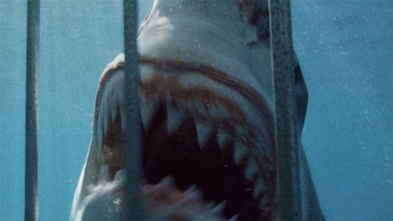 Image d'arrière-plan 3 du film Blue Water, White Death