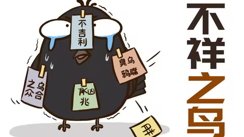 画渣花小烙科普 시즌 1 2화
