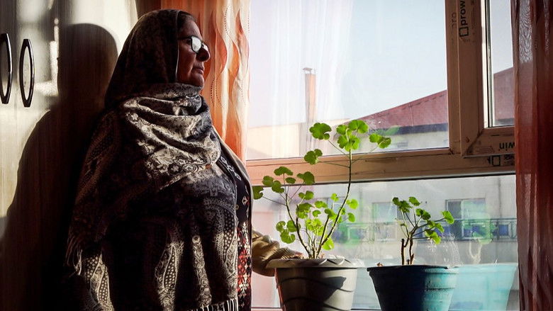 Killing Hope: Targeted Attacks in Afghanistan