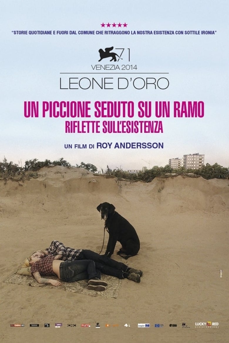 Un piccione seduto su un ramo riflette sull'esistenza (2014)