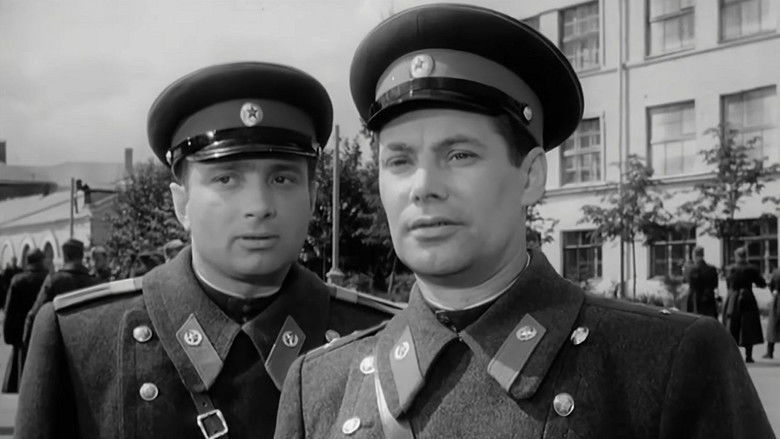 Gallery image from hd3lw9N0itKQ7lRm6MtQVPdUsTb.jpg