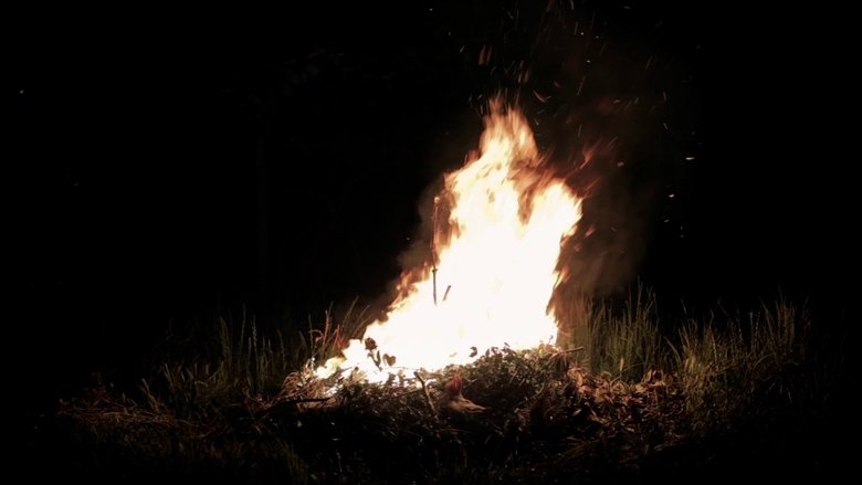 Gallery image from hdFUA9JYFcpHWxtAz1t0TP3KBCZ.jpg