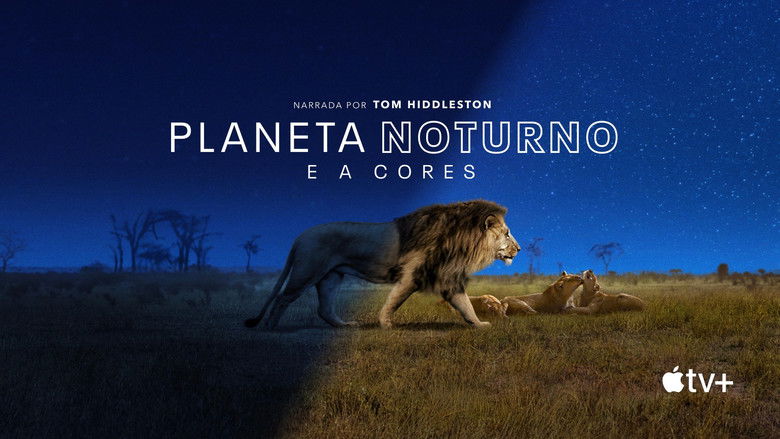 Gallery image from hdJs6rGjpZoMlQrEAW9LTvoByrq.jpg