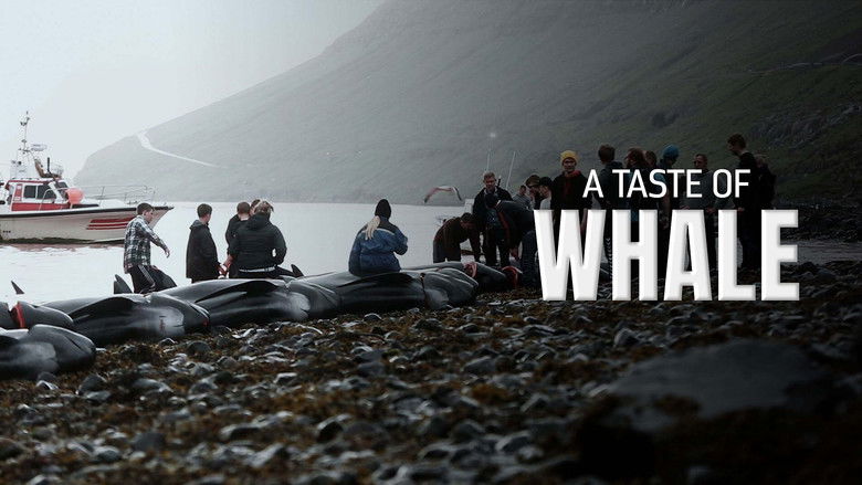 A Taste of Whale Photo 2
