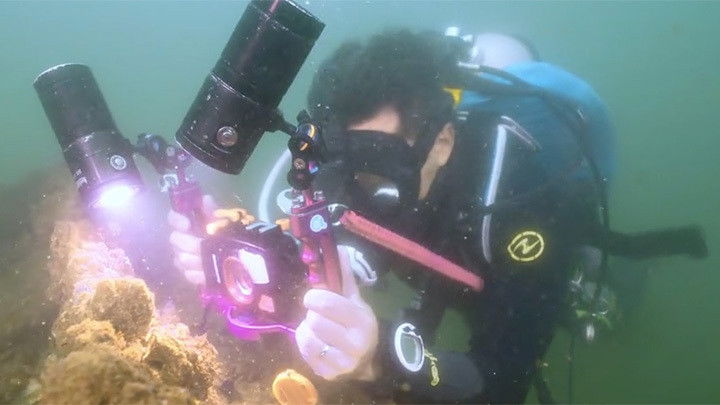 Still image for Dive Rules Deep Dive - Hong Kong season 1 episode 6: Episode 6