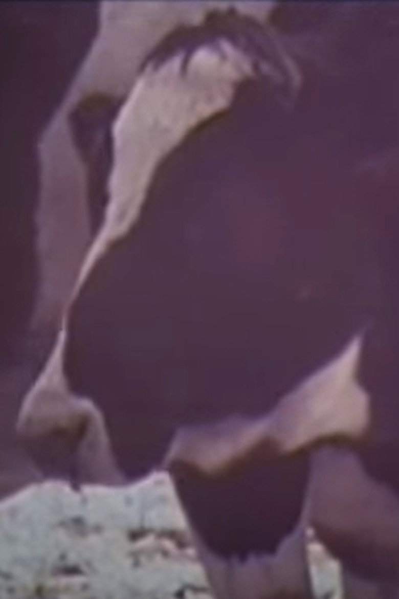 Cold Cows background