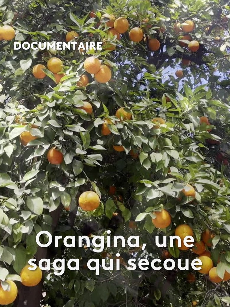 Orangina, une saga qui secoue (2024)
