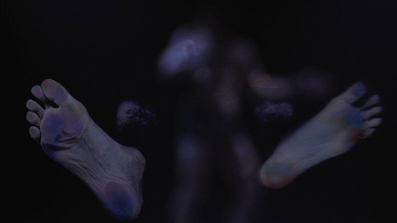 Imatge de to dance the absence