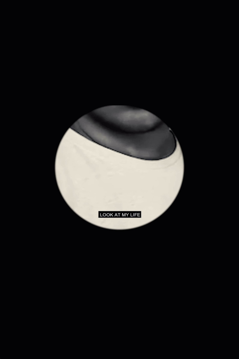 LOOK AT MY LIFE - DEMO (2025) poster
