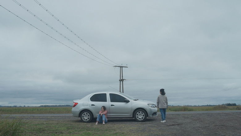 Gallery image from hfGTU3NvbqCdoox6ADYaqEVyrRS.jpg