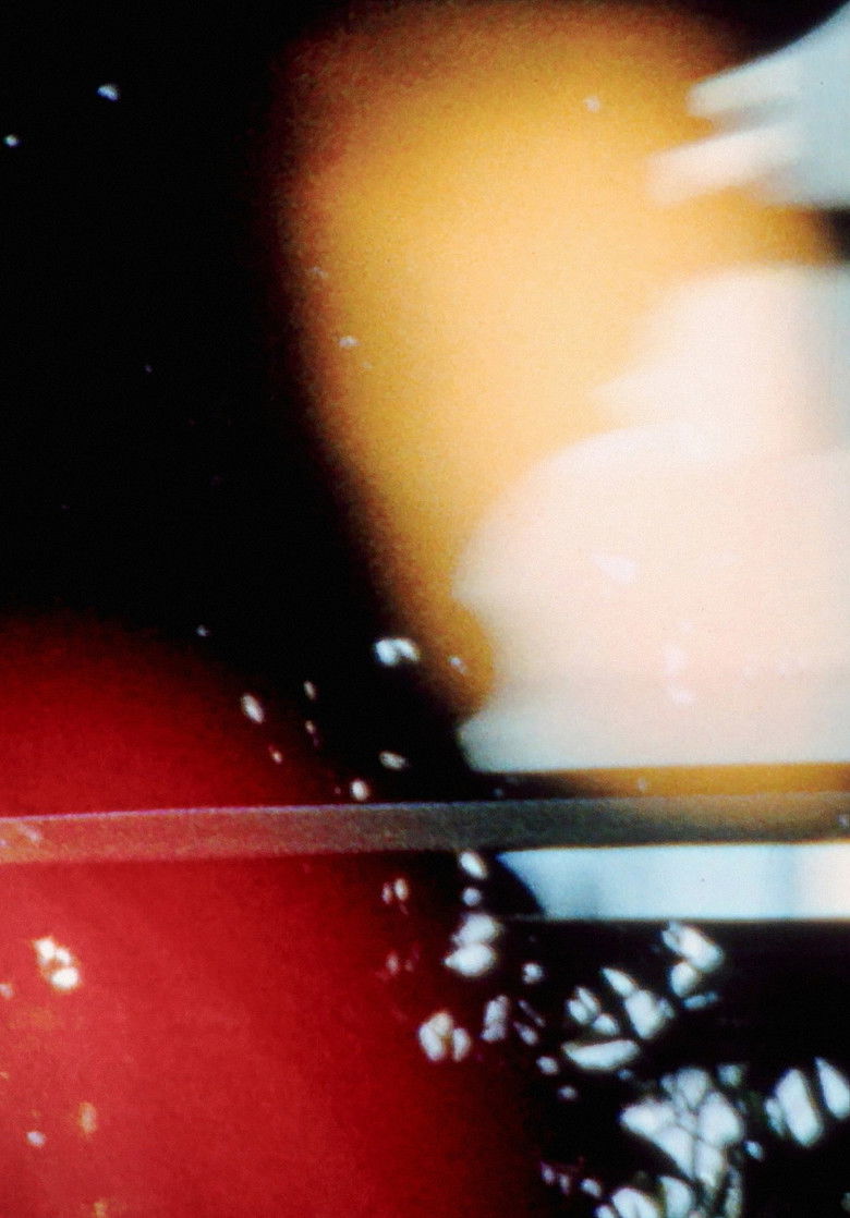 Imatge de Easter Morning