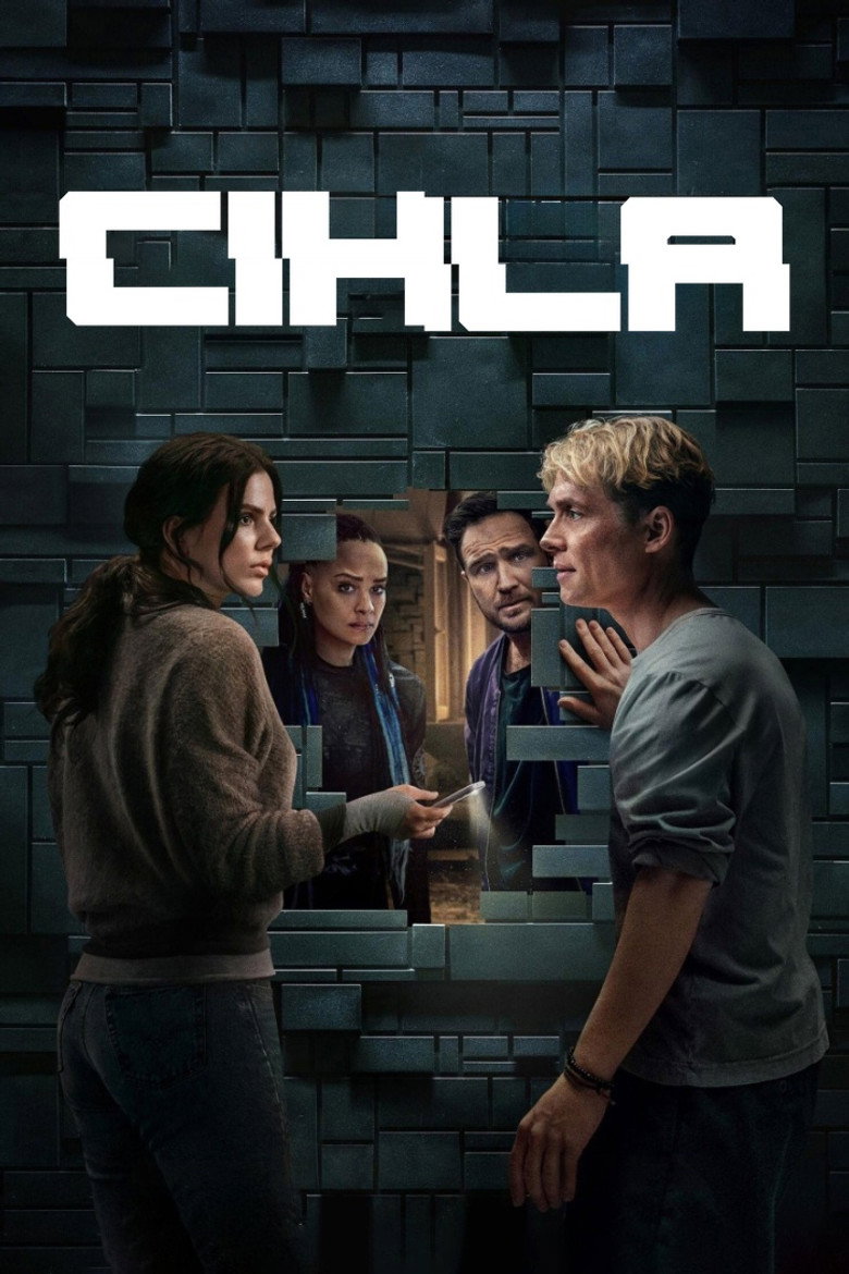 Plakát k filmu Cihla