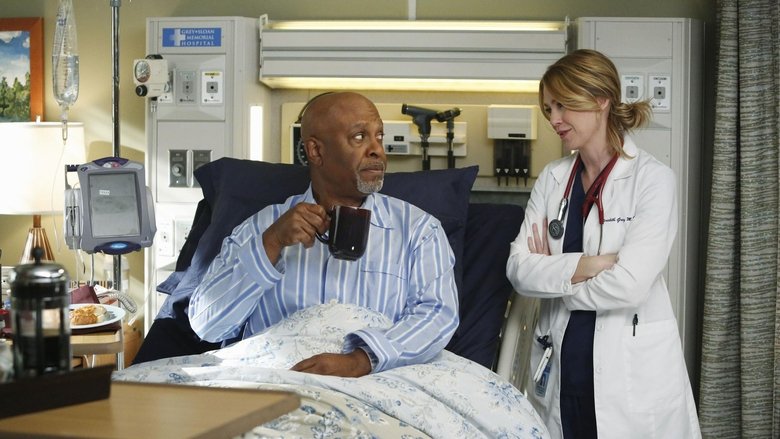 Grey's Anatomy Saison 8 Episode 24 Streaming Vf Grey's Anatomy saison 10 episode 10 streaming vf - 𝐏𝐀𝐏𝐘𝐒𝐓𝐑𝐄𝐀𝐌𝐈𝐍𝐆