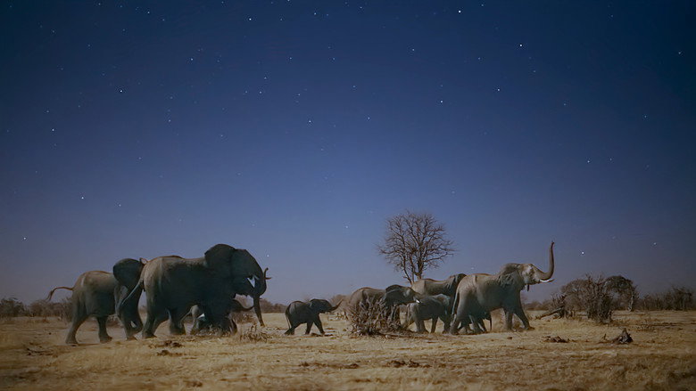 Still from Die Welt in den Farben der Nacht - Season 2 Episode 1