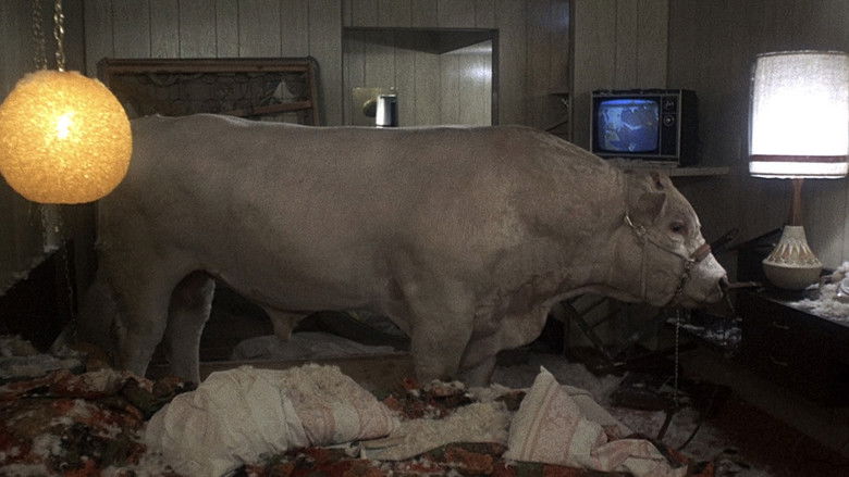 Image d'arrière-plan 9 du film Rancho Deluxe