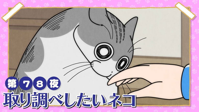 Still image for Nights with a Cat season 1 episode 78: Night 78: The Cat Who Wants to Interrogate