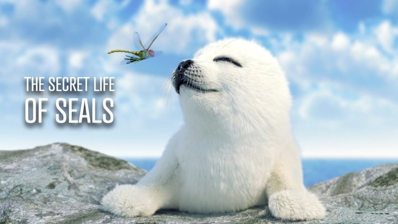 The Secret Life of Seals main backdrop