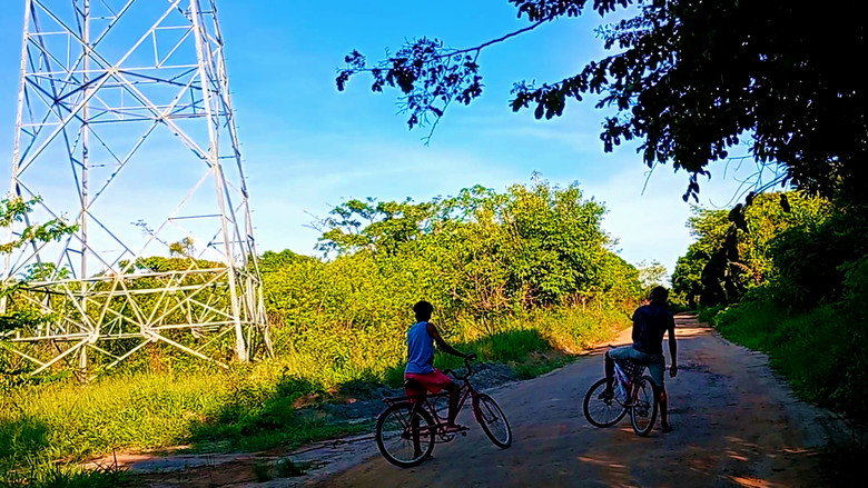 Imatge de Árvores e Bicicletas